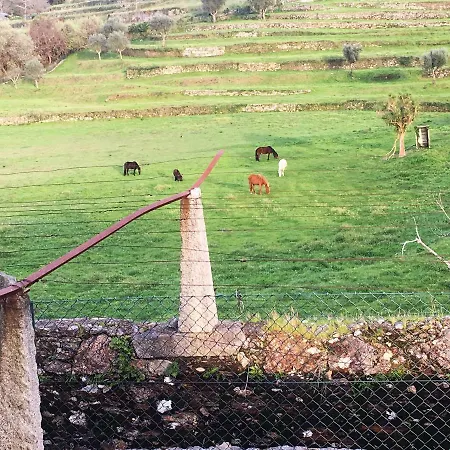 Casas Da Loureira - Casa Do Antonio E Pascoal Vila Nova de Cerveira