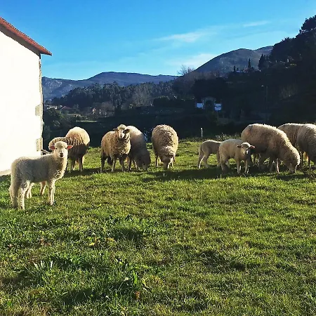 Casas Da Loureira - Casa Do Antonio E Pascoal 別荘 ヴィラ・ノーヴァ・デ・セルヴェイラ