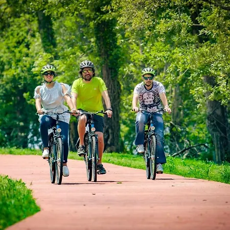 Casas Da Loureira - Casa Do Antonio E Pascoal *
