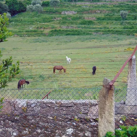 Casas Da Loureira - Casa Do Antonio E Pascoal ヴィラ・ノーヴァ・デ・セルヴェイラ
